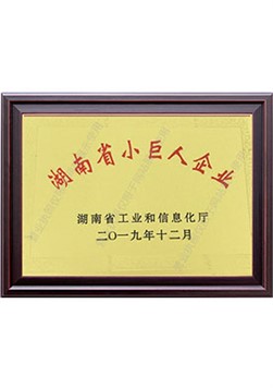 湖南省小巨人企業